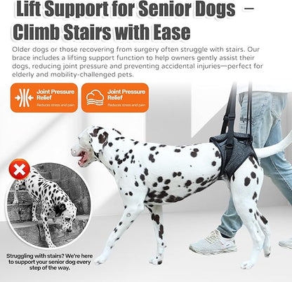 Dog Sling for Medium Large Dog Rear Leg, Lift Harness Provide Support with Muscle Atrophy and Joint Problems for Elderly Injured Arthritic Pet, Dog Weak Rear Legs Provides Rehabilitation Aid