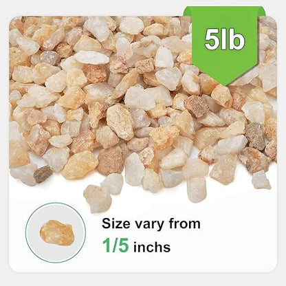 5 lbs Coarse Silica Sand for Indoor Plants, 1/5 Inch Natural Decorative Gravel for Vases, Aquariums, Terrarium, Fish Tank, Drainage Rocks for Potted Plants, Bamboo, Succulent, Crafts, Cactus