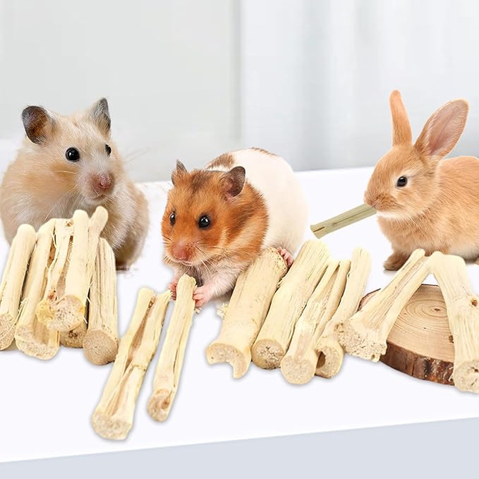 1000g/2.2lb Sweet Bamboo Sticks for Rabbits, Guinea Pig Chew Toys Bunny Toys for Rabbits Indoor, Teething Toy for Small Animals Rabbits, Hamsters, Chinchillas, Guinea Pigs