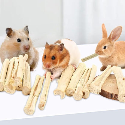 1000g/2.2lb Sweet Bamboo Sticks for Rabbits, Guinea Pig Chew Toys Bunny Toys for Rabbits Indoor, Teething Toy for Small Animals Rabbits, Hamsters, Chinchillas, Guinea Pigs