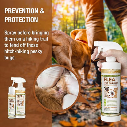 EcoVenger Flea & Tick Removal Spray 16oz for Dogs and Cats, Protects from Fleas, Mites, Ticks & Mosquitoes, eliminates+ Repels+ Housekeeping, Indoors/Outdoors, Plant-Based Formula Safe for Pets & Kids