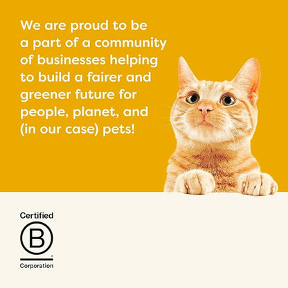 Applaws Natural Wet Cat Food in Gravy, Limited Ingredient Wet Cat Food Pouches, No Additives, Made with Natural Ingredients, Chicken Breast in Gravy (12 x 2.47oz Pouches)