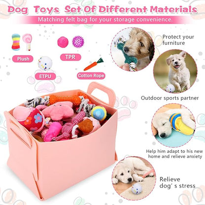 65 Pcs Puppy Supplies Starter Kit Small Dog Essentials Includes Dog Leash, Toys, Bowl, Brushes, Water Bottles, pet Blankets Puppy Accessories for New Welcome Gift Supplies(Cute,Pink)