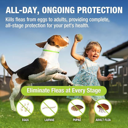 EcoVenger Flea & Tick Collar Repellent 2-Pack Green, Fits Both Dogs & Cats, Built-in Pant-Based Formula Strong Repellency Slow Release, Lasting Deterrence and Protection, Pleasant Aroma, Waterproof