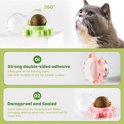 360° Catnip for Cats Wall Catnip Rollerball Licking Ball Cat Nips Mint Magic Cat Stick on Wall Crack Balls Lickable Play Chew Teeth Cleaning Pet Chew Indoor Outdoor