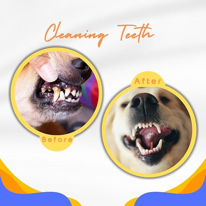 Durable Interactive Dog Toys for Aggressive Chewers,Puppy Teething Toys,Floating Fetch Balls,Bouncing Chew Balls,Tennis Balls for Dogs (2 Balls)