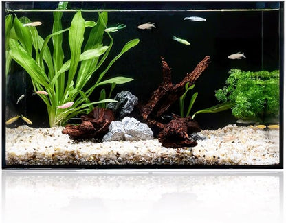 5 Gallon Clear Glass Fish Tank, Easy to Maintain Small Aquariumfor Betta, Goldfish, Snail,Shrimp and Aquatic Planting