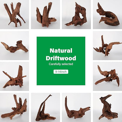 Driftwood for Aquarium Natural Aquarium Wood for Aquascaping Fish Tank Decorations Reptile Tank Decor (Natural Driftwood 9-14" (Pack of 2))