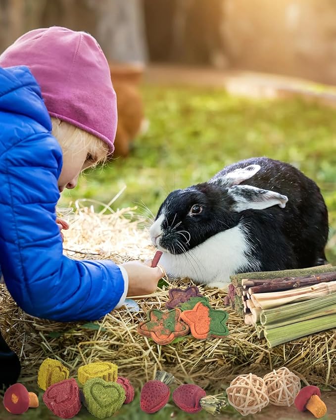 ERKOON 53 Bunny Chew Toys for Rabbits Teeth, Natural Rabbit Toys Apple Wood Sticks, Carrot, Timothy Grass for Small Pets, Hamster, Chinchilla, Guinea Pig Dental Care and Treat Teething(53)