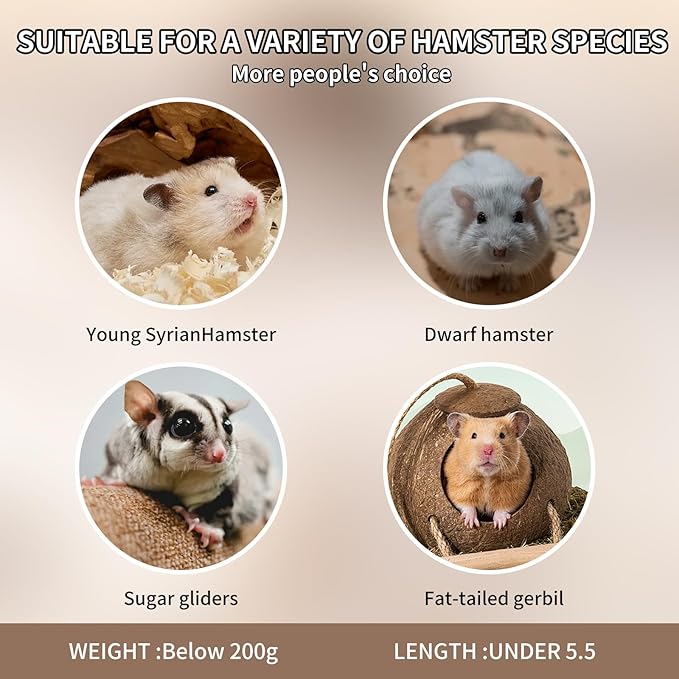 3-in-1 Bear Shaped Ceramic Hamster House - Cool House for Syrian Dwarf Hamsters, Mice, Gerbils， Small Pets, Top for Hamster Food, Removable Lid for Ice Packs, Cute Cool Hideout for Summer（Blue）