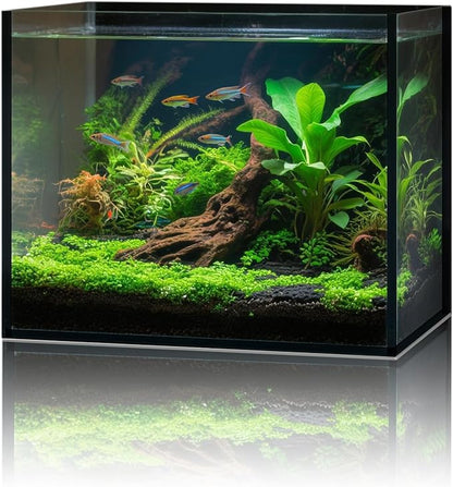 2.6 Gallon Glass Fish Tank Cube, Small Aquarium Fish Bowl for Betta Goldfish Snails Shrimp Aquatic Planting, Easy to Maintain Ultra Clear Rimless Design for Desktop Small Spaces