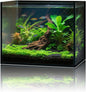 2.6 Gallon Glass Fish Tank Cube, Small Aquarium Fish Bowl for Betta Goldfish Snails Shrimp Aquatic Planting, Easy to Maintain Ultra Clear Rimless Design for Desktop Small Spaces