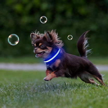 Flashseen LED Cat Collar,Light Up Dog Collar Rechargeable, Dog Lights for Night Walking, Comfortable Soft Mesh Pet Collar Adjustable for Cats Puppy and Small Dogs(Blue, XS)