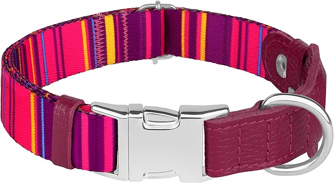 AirTag Dog Collar for Small Medium Large Breed - Adjustable Cute Pattern Dog Collar with Airtag Holder - Soft Leather Tracker GPS Apple Air Tag Pet Collars (Large, 17"-21" Neck Fit, Striped)