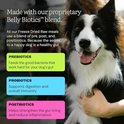 Get Joy Gut Health Fresh Freeze Dried Raw Meal, Beef Recipe, 16 Ounce Bag, Dog Food for Dogs of All Breeds and Life Stages, PhD Animal Nutritionist Formulated, USDA Beef, Made in USA