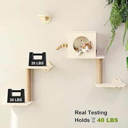 FUKUMARU Cat Wall Shelves, 5-Piece Stable Wooden Wall-Mounted Furniture Set, Kitty Climber with Hammock, House, Steps, Scratching Post (Beige)