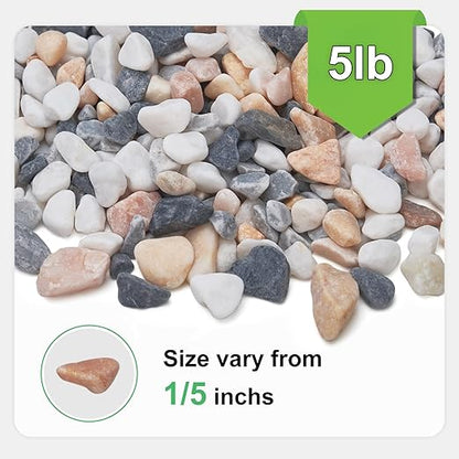 5 lbs Small Rocks for Plants, 1/5 Inch Pebbles for Indoor Plants, Natural Decorative Pea Gravel for Aquarium, Fish Tank, Terrarium, Succulents, Bamboo Plants, Vases, Cactus, Crafts
