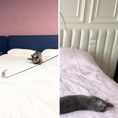 Feather Toys Replacements (3 Pc) - Cat Toys & Kitten Toys for Indoor Kittens, Set of Replacement Feather Attachments Extra Small and Durable, for Cat Wands, Natural and Safe