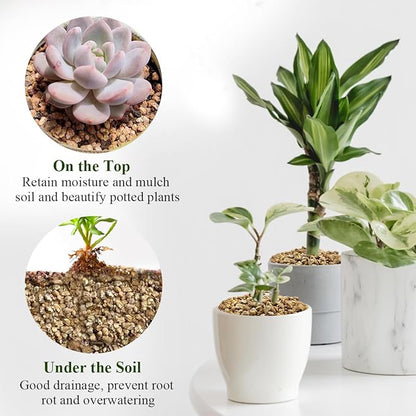 10 lbs Maifanitum Stones for Succulent,1/4 Inch Decorative Rocks for Indoor Plants, Bonsai, Soil Cover. Small Stones for Water Drainage and Plant Growth