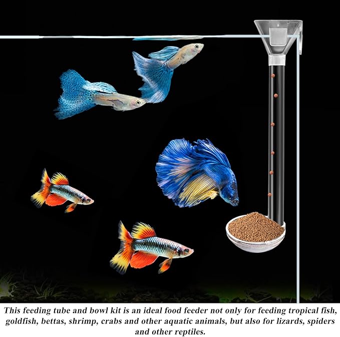 Aquarium Fish Shrimp Feeding Dish Set, Shrimp Feeding Dish Set, Transparent Shrimp Feeding Adjustable Tube with Feeding Ring, Cleaning Brush for Fish Tank and Preventing Food Scattering (Small)