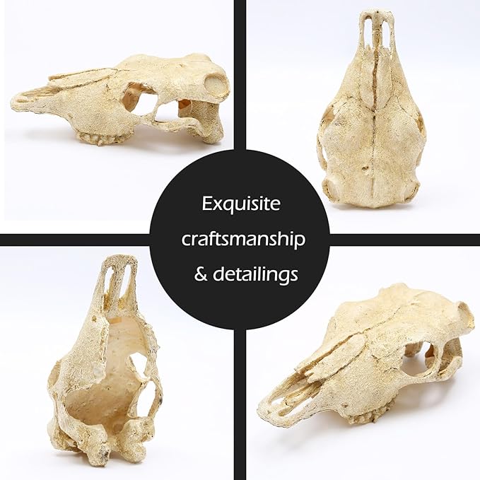 Aquarium Skull Décor Fish Hideout Cave Decorations Betta Tarantula Reptile Snake for Terrarium Ornament Dinosaur Animal Large Bones Halloween