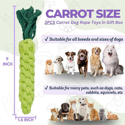 3PCS Green Woven Pet Chew Set, Dog Chew Accessories, Cat Interactive Chews, Safe & Durable Braided Chews for Dogs, Cats & More Pets