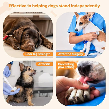 Anti-Slip Dog Paw Protector Pads for Senior Dogs, Dog Paw Blue Stickers with Strong Traction on Hardwood Floor, Dog Essentials,12sets(48pcs) XXL (61-80lbs)