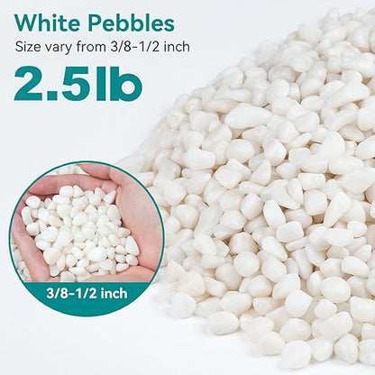 2.5 lbs Small White Rocks for Planters, 3/8" White Pebbles for Vases, Decorative Small Stones for Plants, Succulents, Bamboo, Terrarium, Landscape, Garden