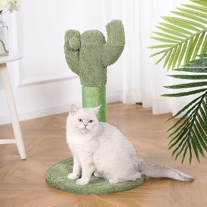 Amazon Basics Cat Scratcher - Indoor Cactus Single Cat & Kittens Scratching Post with Dangling Ball, Medium (25.6"H) - Green