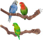 2 pcs 9.8 inch Bird Perches Stand Natural Wood Bird Perches, Birdcage Wood Stand Tree Perches for Birds Cockatiels Parrots Conures Macaws Finches(2PCS 9.8" Length)