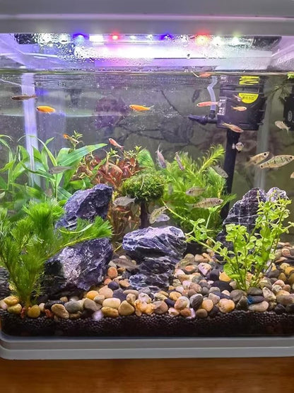 Aquarium Rocks Seiryu Stones Natural Hardscape Stone for Aquariums, Fish Tanks, Bonsai, Terrariums, Wargaming Dioramas, Indoor or Outdoor Gardens-5Lb(2-6 Inch)