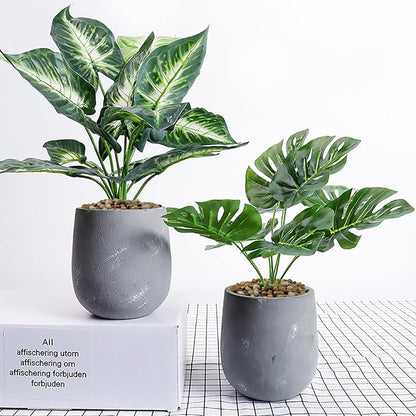 2 Pounds Pebbles for Plants, 3/8 Inch Polished Pea Gravel. Decorative Stones River Rocks for Succulent Soil Cover, Cactus, Aquarium, Vase and Outdoor Garden Landscaping