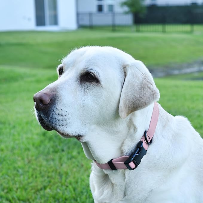 Dogline Biothane Waterproof Dog Collar with Quick Release Buckle Strong Coated Nylon Webbing with Odor- Proof for Easy Care Easy to Clean Fits Small Medium Large Dogs, Lavender 1" W 15-23" L