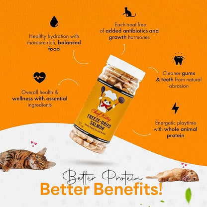 Freeze-Dried Salmon Treats for Cats & Dogs – 100% Wild Caught, Single Ingredient, High-Protein, Healthy Snack – No Additives or Preservatives – 1.4oz - Inspected & Tested in USA