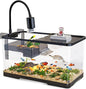 (Tank + Light + Filter Balls) Turtle Tank Kit, Turtle Tank Starter Kit,Bottom Drainage, Multi-Function Areas for Turtles, Crabs,Fishes, Amphibians,Reptiles. (11.81 × 7.88 × 7.88 Inch)