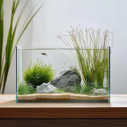 10 Gallon Glass Fish Tank, Easy to Maintain Small Aquarium for Betta/Goldfish/Snails/Shrimp and Aquatic Planting.