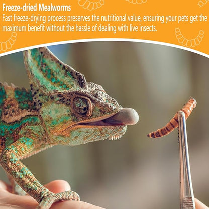 Freeze Dried Mealworms 6 Oz - High Protein Pet Food for Reptiles, Bearded Dragons, Birds & Hedgehogs - Nutrient-Packed Treat for Lizards, Geckos, Turtles, Chickens