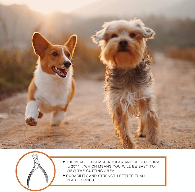 Dog Nail Clipper | Pet Cat Claw Trimmer -Sharp Angled Stainless Steel Blade for Quick Safety -Sturdy Non-Slip Handle -Nail File & Set Box -Professional Tools for Large & Small Pet