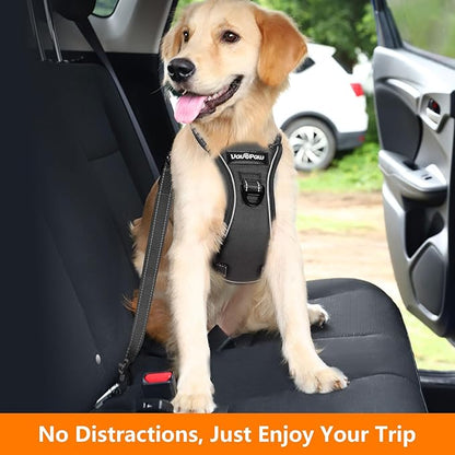 Dog Seat Belt Harness for Car, Dog Car Harness Adjustable Mesh Breathable & Dogs Seatbelt Safety Tether with Elastic Bungee for Small Medium Large Pets(Carbon Black, M)