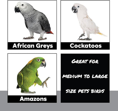 1410 Stainless Pot Delight from Parrots Cockatiels Conures Budgies Macaws Lovebirds African Greys Parrot Toys Stainless Foraging Chew Treat Noise-Making Fun Sensory Enrichment.