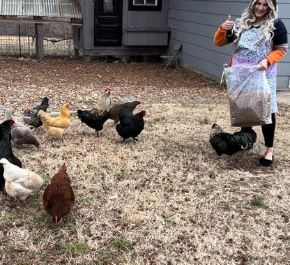 10lbs Dried Mealworms - Premium Non-GMO Chicken Feed, Nutritious High Protein Meal Worms- Food and Treats for Laying Hens, Wild Birds, Ducks, Chicken