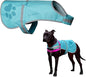 Dog Reflective Vest – Hi-Vis Fluorescent Visibility That Helps to Safeguard Your Pet On/Off Leash in Urban & Rural Areas (Teal, Medium)