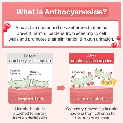 Dr.by UT Care Cat UTI Kidney Support Urinary Supplement Cranberry Treatment for Cats Renal Health with Pacran, Quercetin, Taurine lickable Formula Individually Packaged (1 Pack)