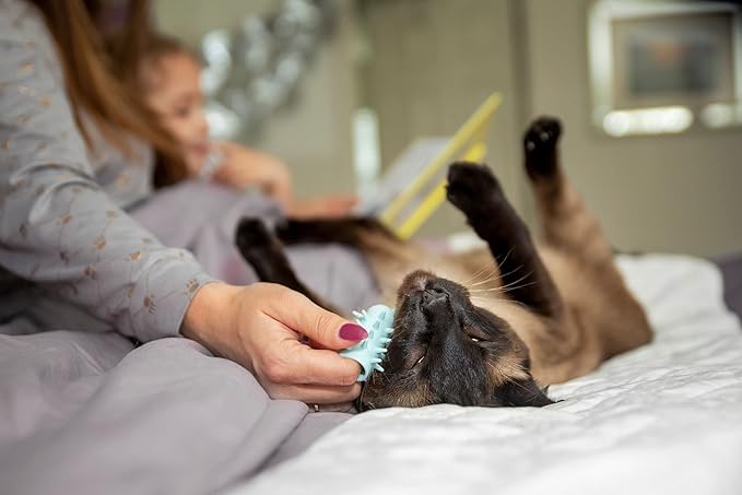 Furr&Purr Cat Brush, Scratcher, and Massager - Indoor Cat Calming Care with Face Scratcher, Finger Brush (3-Pack, Made in USA)