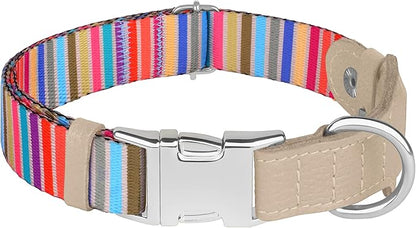 AirTag Dog Collar for Small Medium Large Breed - Adjustable Cute Pattern Dog Collar with Airtag Holder - Soft Leather Tracker GPS Apple Air Tag Pet Collars (X-Small, 9"-12" Neck Fit, Serape)