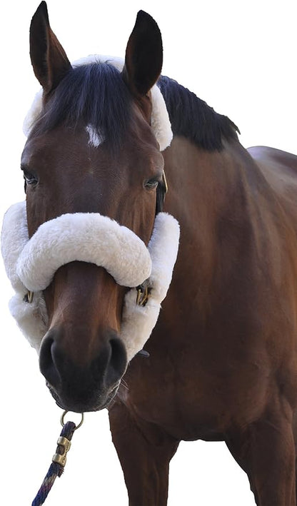 ECP Equine Comfort Products Merino Sheepskin Halter Fleece Set for Horses, 100% Natural Wool, Chafe Protection, Breathable Relief & Cushioned Comfort, Machine Washable, 9-Piece Set, White