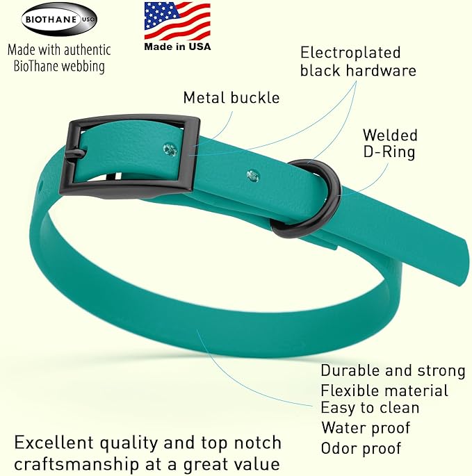 Dogline Biothane Waterproof Dog Collar Strong Coated Nylon Webbing with Black Hardware Odor- Proof for Easy Care Easy to Clean High Performance Fits Small Medium or Large Dogs, Blue Aqua