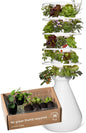 Farmstand Starter Kit with Glow Rings and 30 Seedling Credits | Family Hydroponic Growing System Kit | Vertical Garden Planter Tower | 5ft 5in Tall