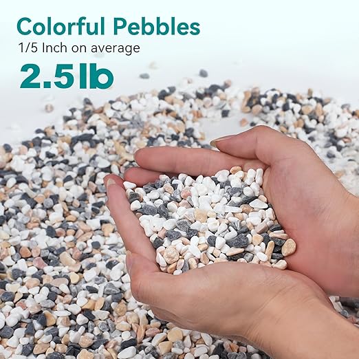 2.5 lbs Small Rocks for Succulents, 1/5 Inch Pebbles for Indoor Plants, Decorative Pea Gravel for Terrarium, Vases, Aquariums, Fish Tank, Drainage Rocks for Potted Plants, Bamboo,Crafts, Cactus
