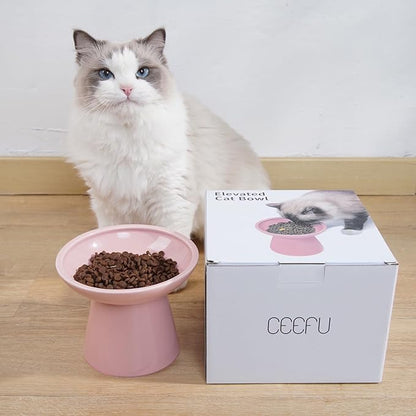 Extra Wide Elevated Ceramic Cat Bowl, 6.2" Shallow Dish for Whisker Fatigue Relief, 5" Height for Easy Feeding, Durable Raised Cat Food Bowls, Pack of 2, Pink